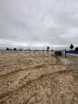 Участок в Ямало-Ненецкий АО, Пуровский район, Уренгой пгт Восточная ...