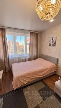 1-к кв. Псковская область, Псков Новгородская ул., 12 (35.0 м)
