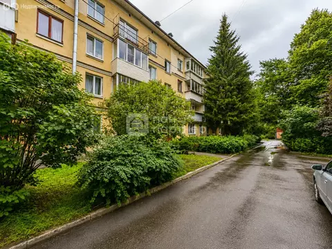 2-комнатная квартира: Павловск, Слуцкая улица, 10 (43.3 м)