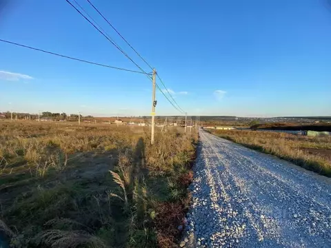 Участок в Воронежская область, Семилукский район, Губаревское с/пос, ...