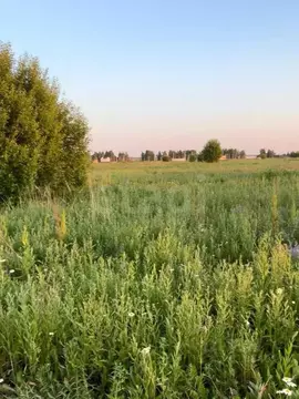 Участок в Костромская область, Кострома Соколиное Гнездо кп, 1 (7.0 ...