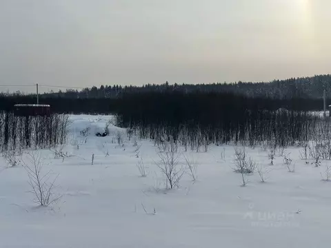 Участок в Московская область, Рузский муниципальный округ, д. Леньково ...