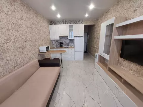 Студия Калужская область, Обнинск ул. Курчатова, 35/1 (24.5 м)