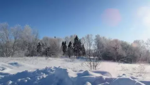 Участок в Московская область, Коломна городской округ, с. Андреевское  ...