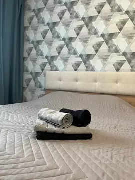 1-к кв. Алтайский край, Барнаул ул. Энтузиастов, 65 (41.0 м)