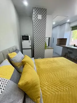 Студия Башкортостан, Уфа ул. Павлуновского, 12 (23.0 м)