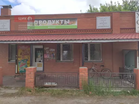 Помещение свободного назначения в Рязанская область, Шацкий ...