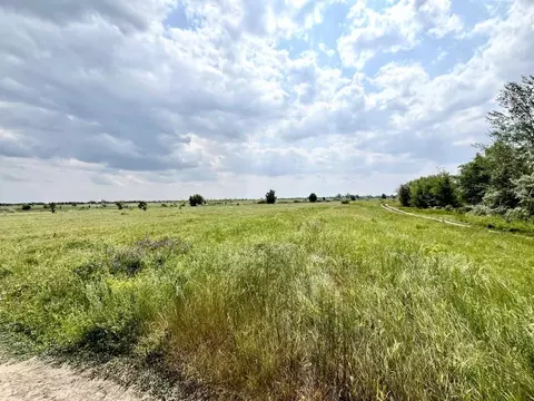 Участок в Саратовская область, Энгельсский район, Красноярское ...