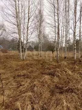 Дом в Будогощское городское поселение, массив Капустино (49.4 м)