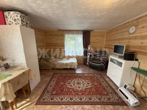 Дом в Новосибирская область, Новосибирск Метростроитель СНТ,  (32 м)