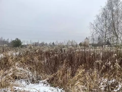 Участок в Московская область, Павлово-Посадский городской округ, д. ...