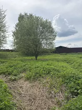 Участок в Московская область, Ступино городской округ, с. Мышенское  ...