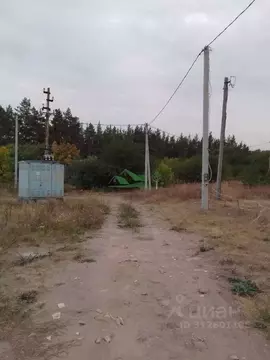 Участок в Белгородская область, Яковлевский муниципальный округ, Нива ...