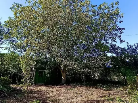 Участок в Ростовская область, Ростов-на-Дону Покровский пер. (7.24 ...