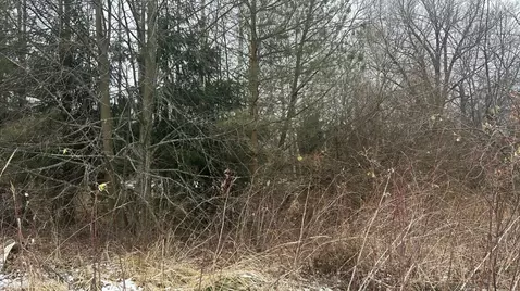 Участок в Московская область, Ступино городской округ, с. Мещерино  ...