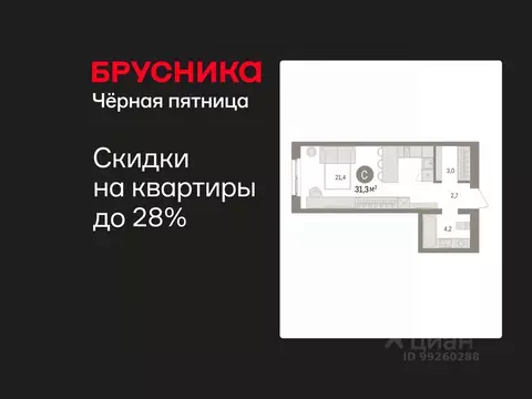 Студия Свердловская область, Екатеринбург пер. Торфяной, 4 (31.3 м)