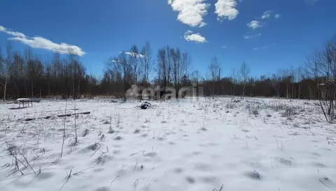 Участок в Камчатский край, Елизовский муниципальный округ, Таежный-2 ...