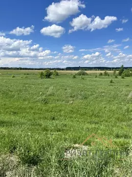 Участок в Татарстан, Лаишевский район, с. Сокуры Дачная ул. (6.0 сот.)