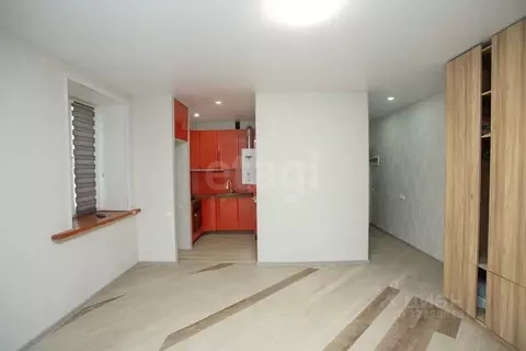 1-к кв. Нижегородская область, Нижний Новгород Юбилейная ул., 8 (32.0 ...