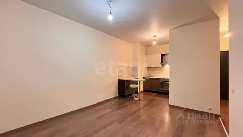 1-к кв. Санкт-Петербург Мебельная ул., 49/92 (45.1 м)