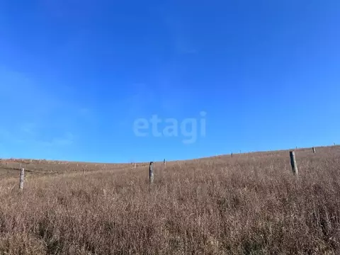 Участок в Алтай, Майминский район, пос. Алферово ул. Выходцева, 12 ...