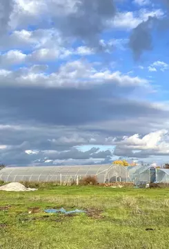 Участок в Крым, Симферопольский район, Николаевское с/пос, с. Тепловка ...