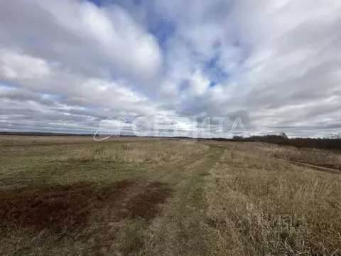 Участок в Тюменская область, Тюмень Садовое товарищество Липовый ...