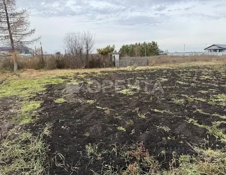 Участок в Тюменская область, Тюмень Утешево мкр, ул. Утешевская (8.24 ...