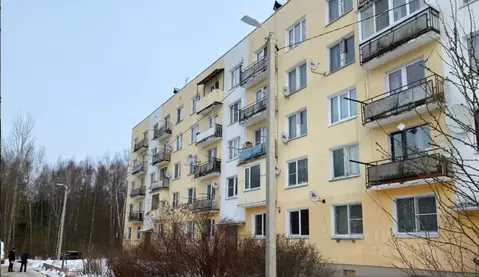 3-к кв. Московская область, Дмитровский муниципальный округ, д. ...