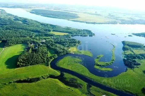 Участок в Костромская область, Красносельский район, Боровиковское ...