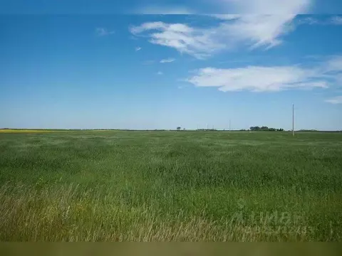 Участок в Московская область, Талдомский городской округ, д. Дьяконово ...