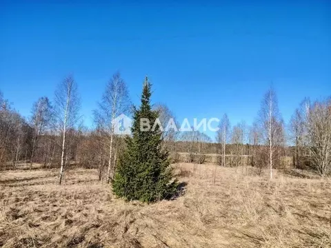 Участок в Ленинградская область, Выборгский район, Полянское с/пос, ...