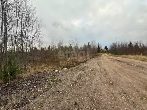 Участок в Вологодская область, Великоустюгский муниципальный округ, ...