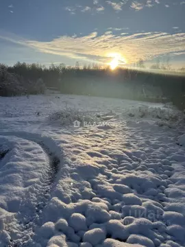 Участок в Владимирская область, Суздальский район, Новоалександровское ...