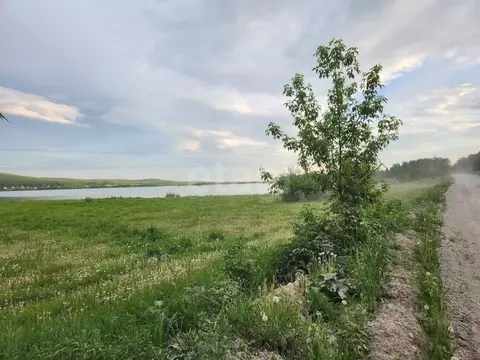 Участок в Челябинская область, Миасс ОНТ Русское Поле,  (102.0 сот.)