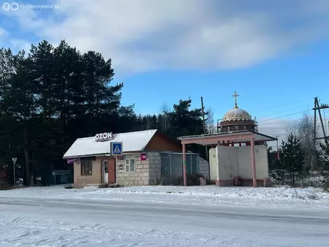 Участок в Владимирская область, Киржачский муниципальный округ, СНТ ...