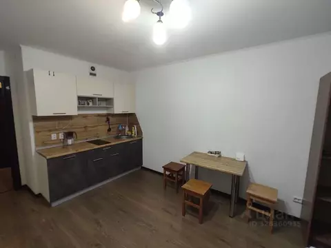 Студия Санкт-Петербург просп. Энергетиков, 9к6 (24.9 м)