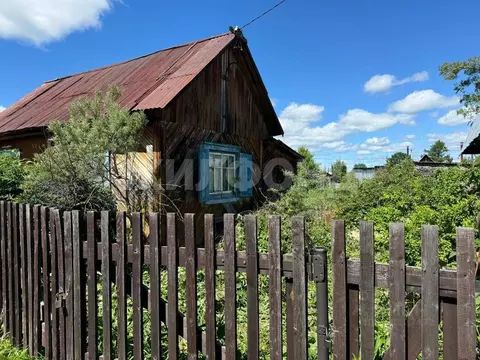 Дом в Томская область, Томск Бурундук СНТ, ул. Вишневая (12 м)