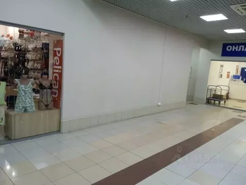 Торговая площадь в Челябинская область, Челябинск Салютная ул., 27 (3 ...