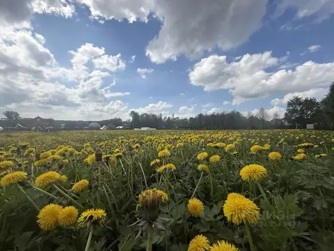 Участок в Московская область, Подольск городской округ, д. Никулино  ...