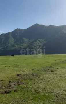 Участок в Алтай, Чемальский район, с. Куюс  (12.0 сот.)
