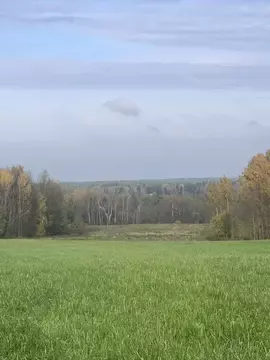 Участок в Московская область, Клин городской округ, д. Пупцево 1А (4.0 ...