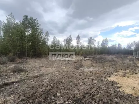 Участок в Забайкальский край, Читинский муниципальный округ, с. ...