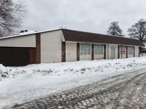 Помещение свободного назначения в Брянская область, Брянск Белые ...