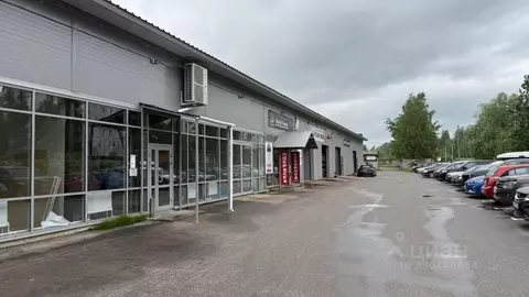 Помещение свободного назначения в Новгородская область, Великий ...