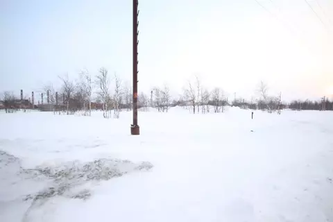 Участок в Ямало-Ненецкий АО, Новый Уренгой Лира ДНТ,  (6.13 сот.)