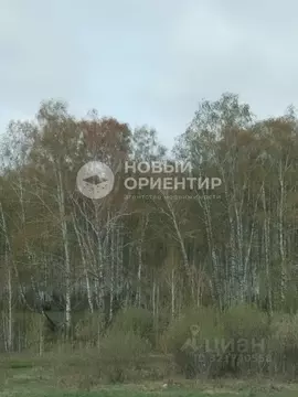 Участок в Свердловская область, Екатеринбург муниципальное ...