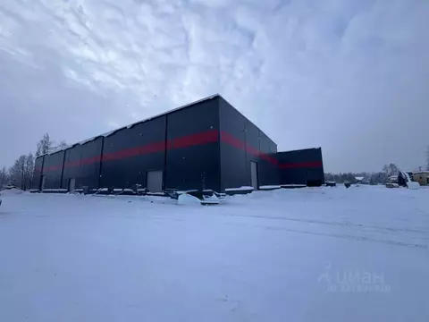 Помещение свободного назначения в Ленинградская область, Всеволожский ...