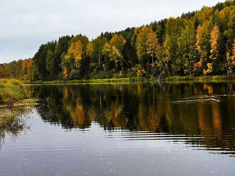 Дом в Карелия, Пряжинский район, пос. Матросы пер. Шуйский, 11 (34 м)