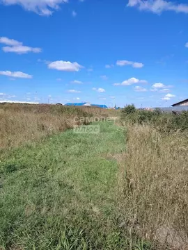 Участок в Тюменская область, Тюменский район, с. Успенка Пышминская ...